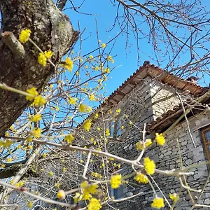 Maison d'hôtes Bujtina Tusha, Tirana